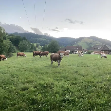 Ferienzimmer Dorfcafe Am Bach Pensionat